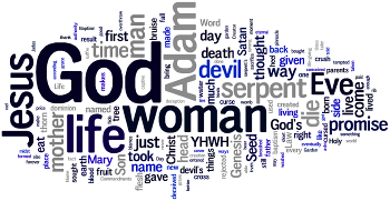 Mid-week Advent II 2015 Wordle